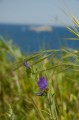 Img20070426-031